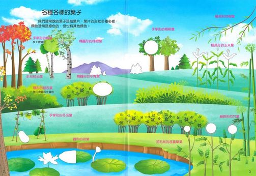 IQ小百科貼紙書( 5書)